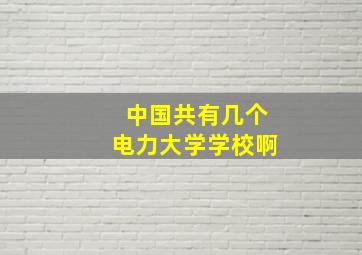 中国共有几个电力大学学校啊