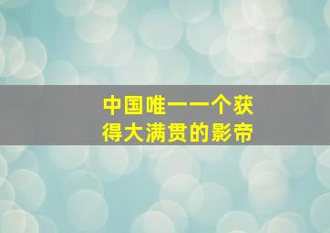 中国唯一一个获得大满贯的影帝