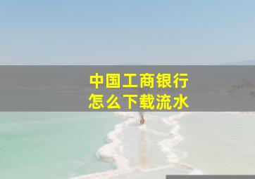 中国工商银行怎么下载流水