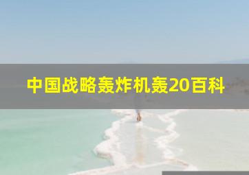 中国战略轰炸机轰20百科