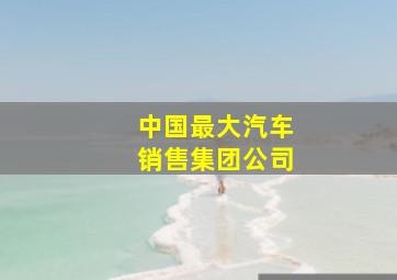 中国最大汽车销售集团公司