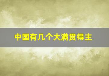 中国有几个大满贯得主