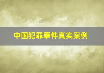 中国犯罪事件真实案例