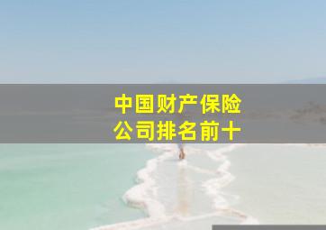 中国财产保险公司排名前十