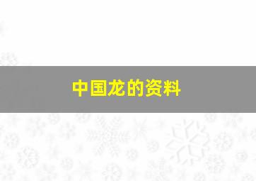 中国龙的资料