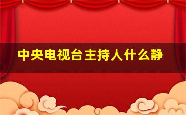 中央电视台主持人什么静