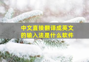 中文直接翻译成英文的输入法是什么软件