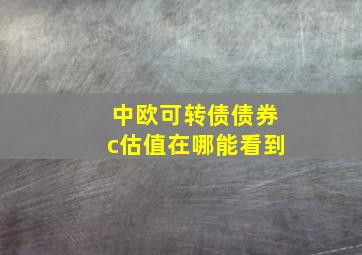 中欧可转债债券c估值在哪能看到