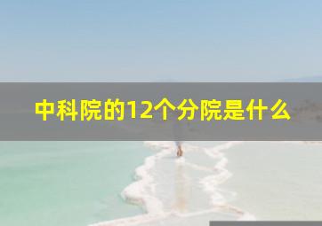 中科院的12个分院是什么