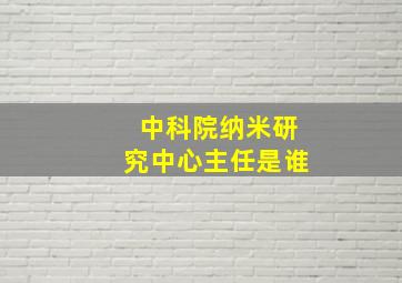 中科院纳米研究中心主任是谁