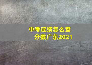 中考成绩怎么查分数广东2021