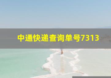 中通快递查询单号7313