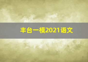 丰台一模2021语文