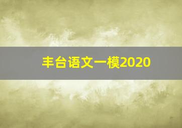 丰台语文一模2020