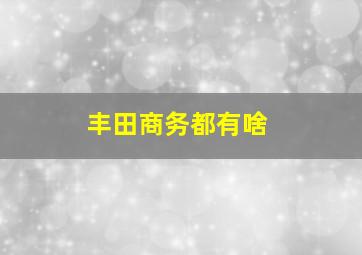 丰田商务都有啥