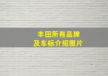 丰田所有品牌及车标介绍图片