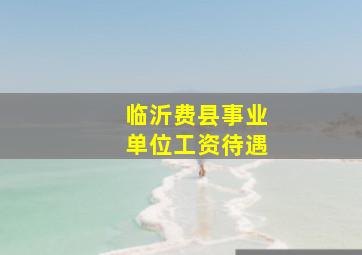 临沂费县事业单位工资待遇