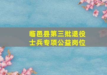 临邑县第三批退役士兵专项公益岗位