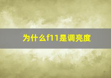 为什么f11是调亮度