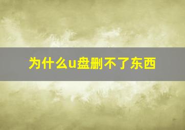 为什么u盘删不了东西