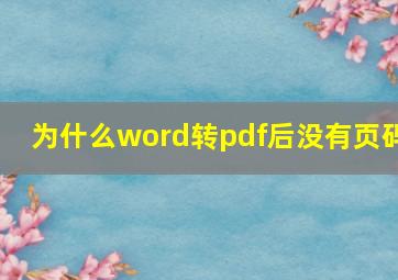 为什么word转pdf后没有页码