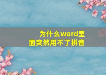 为什么word里面突然用不了拼音