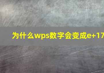 为什么wps数字会变成e+17