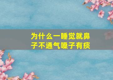 为什么一睡觉就鼻子不通气嗓子有痰