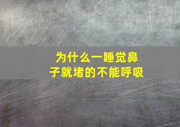 为什么一睡觉鼻子就堵的不能呼吸