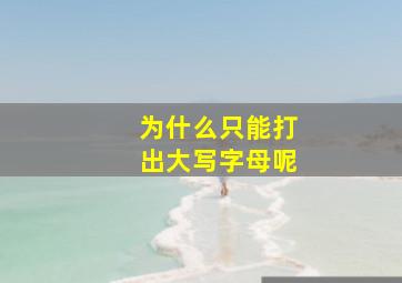 为什么只能打出大写字母呢