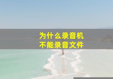 为什么录音机不能录音文件