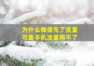 为什么微信充了流量可是手机流量用不了