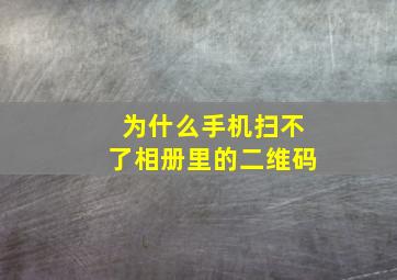 为什么手机扫不了相册里的二维码