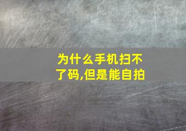 为什么手机扫不了码,但是能自拍