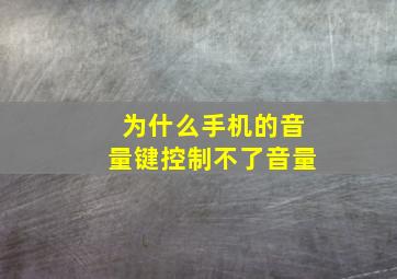 为什么手机的音量键控制不了音量