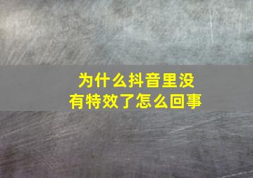 为什么抖音里没有特效了怎么回事