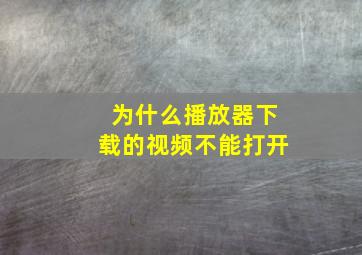 为什么播放器下载的视频不能打开