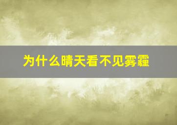 为什么晴天看不见雾霾