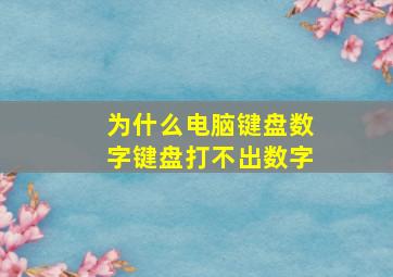 为什么电脑键盘数字键盘打不出数字