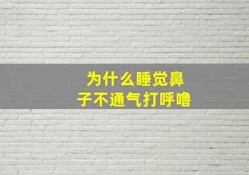 为什么睡觉鼻子不通气打呼噜