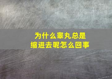 为什么睾丸总是缩进去呢怎么回事