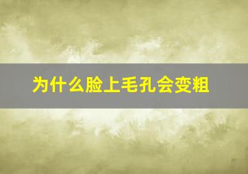 为什么脸上毛孔会变粗