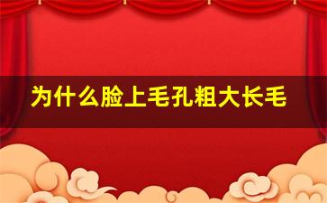 为什么脸上毛孔粗大长毛