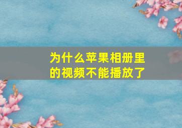 为什么苹果相册里的视频不能播放了