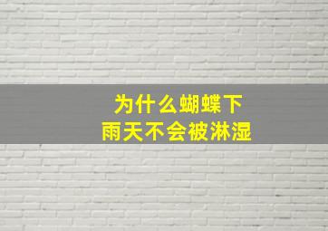 为什么蝴蝶下雨天不会被淋湿