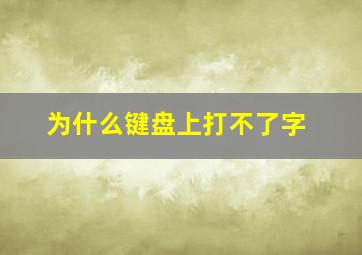 为什么键盘上打不了字