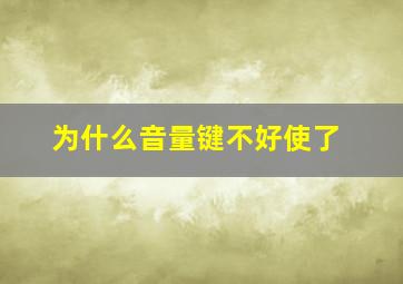 为什么音量键不好使了