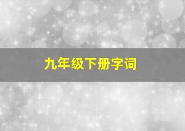 九年级下册字词