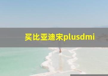 买比亚迪宋plusdmi