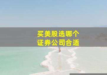 买美股选哪个证券公司合适